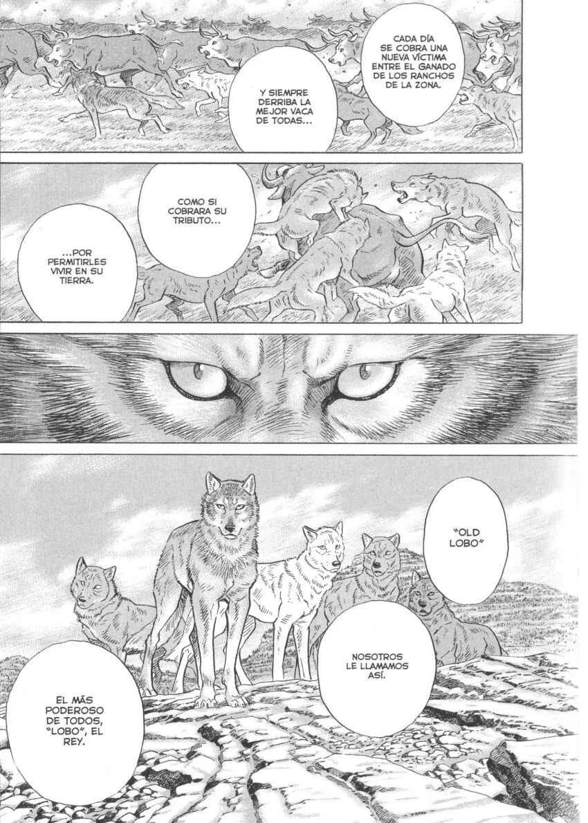 Seton Capítulo 1: La Manada de Los Lobos de Currumpaw - Page 17