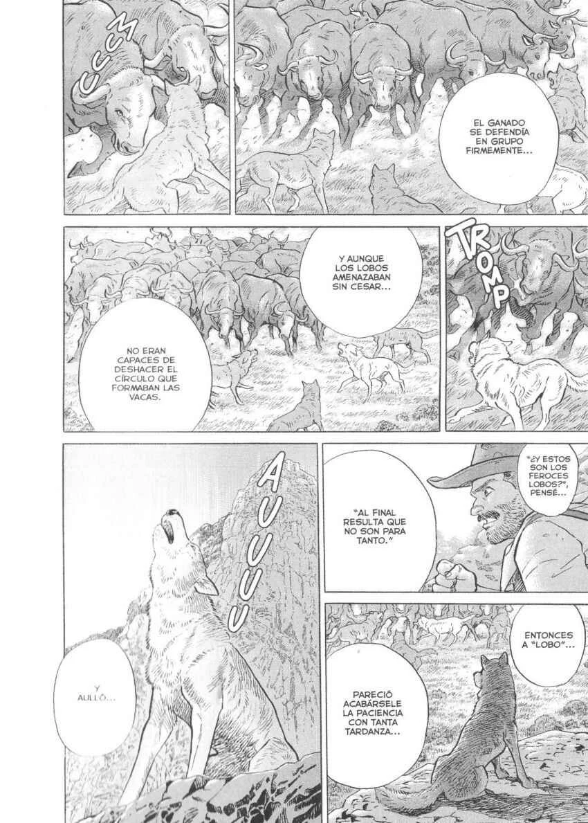 Seton Capítulo 1: La Manada de Los Lobos de Currumpaw - Page 22