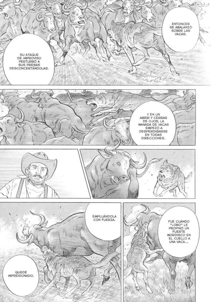 Seton Capítulo 1: La Manada de Los Lobos de Currumpaw - Page 23