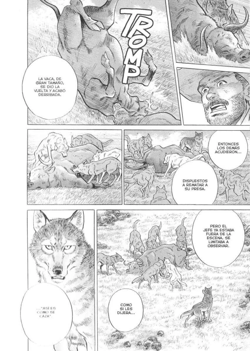 Seton Capítulo 1: La Manada de Los Lobos de Currumpaw - Page 24