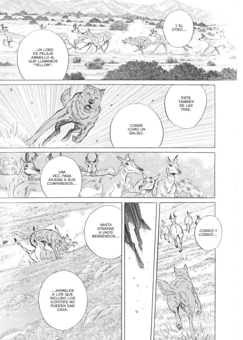 Seton Capítulo 4: Siguiendo El Rastro - Page 7