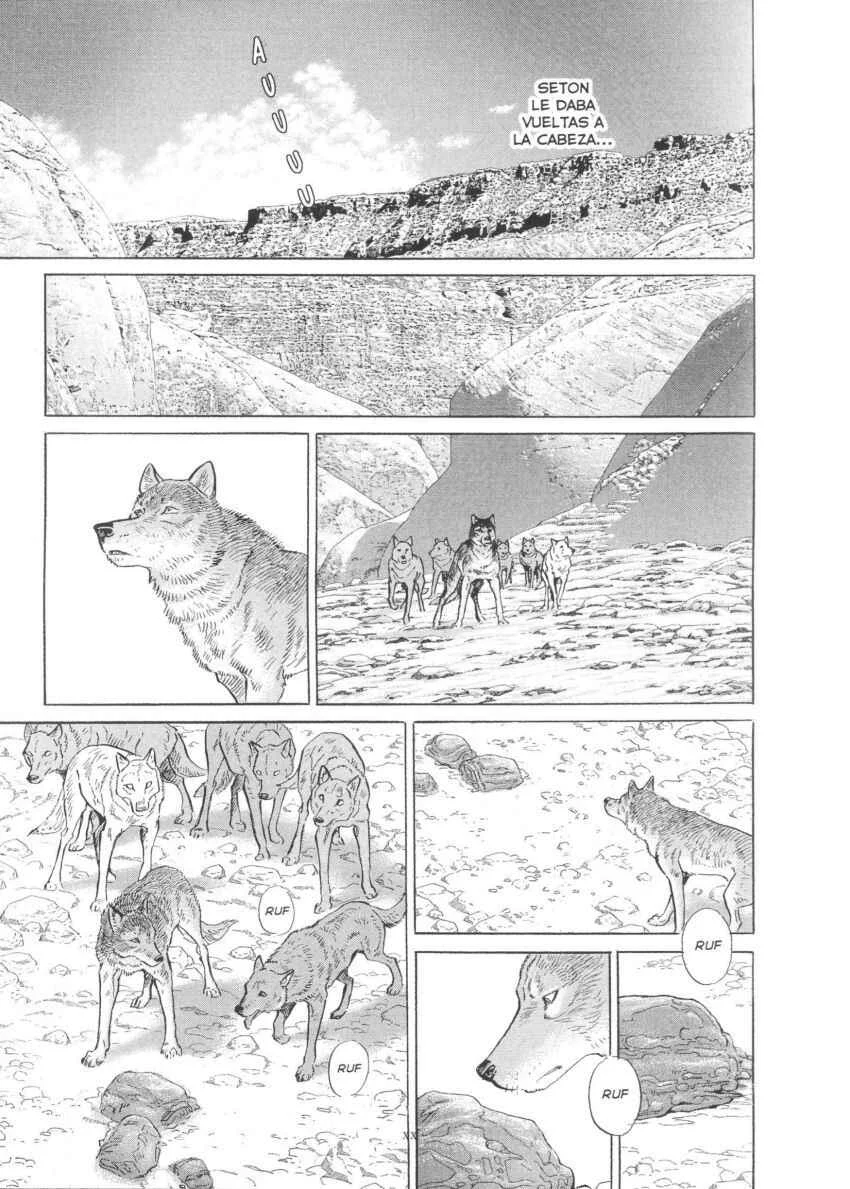 Seton Capítulo 4: Siguiendo El Rastro - Page 9