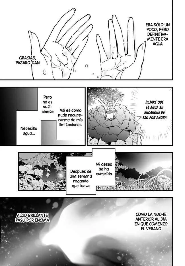 Shokubutsu Monster Musume Nikki: Seijo datta Watashi ga Uragirareta Hate ni Alraune ni Tensei Shite Shimatta node, kore kara wa Kougousei o Shinagara Shizuka ni Shokubutsu Life o Sugoshimasu Capítulo 3 - Page 19