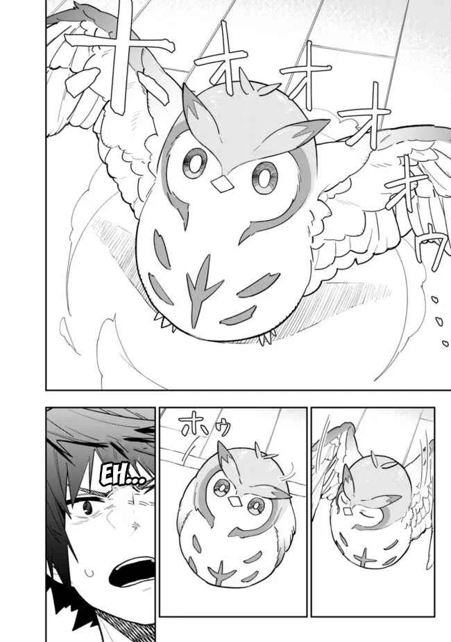 'Shop' Skill sae Areba, Dungeon Ka Shita Sekai demo Rakushou Da: Hakugai Sareta Shounen no Saikyou Zamaa Life Capítulo 5: Mascota - Page 13