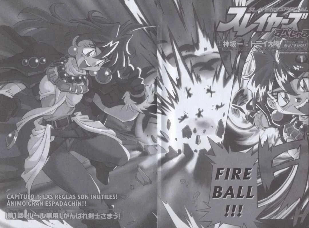 Slayers Special Capítulo 1: Las reglas son inútiles! Ánimo gran espadachín!! - Page 6