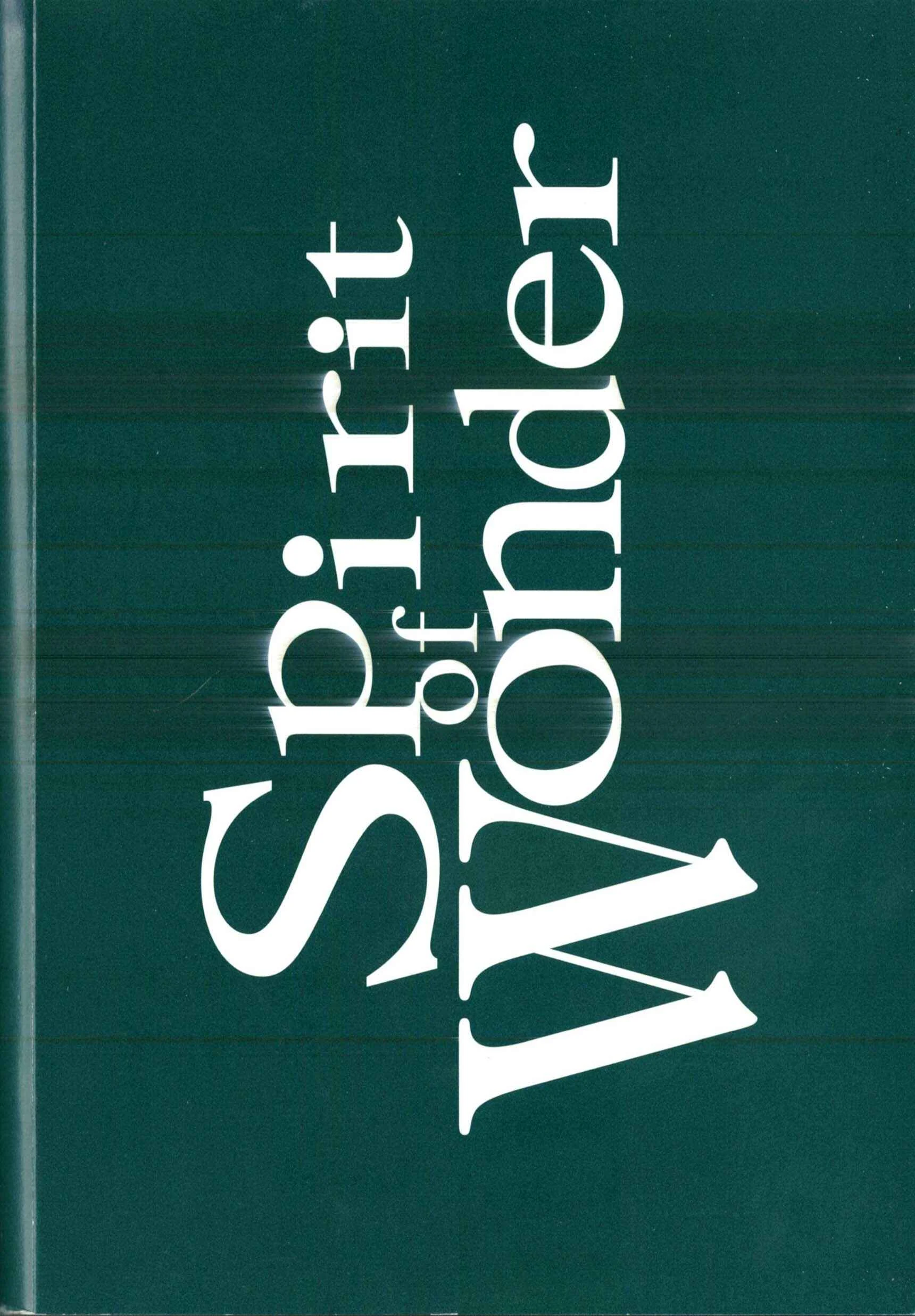 Spirit of Wonder Capítulo 4 - Page 40