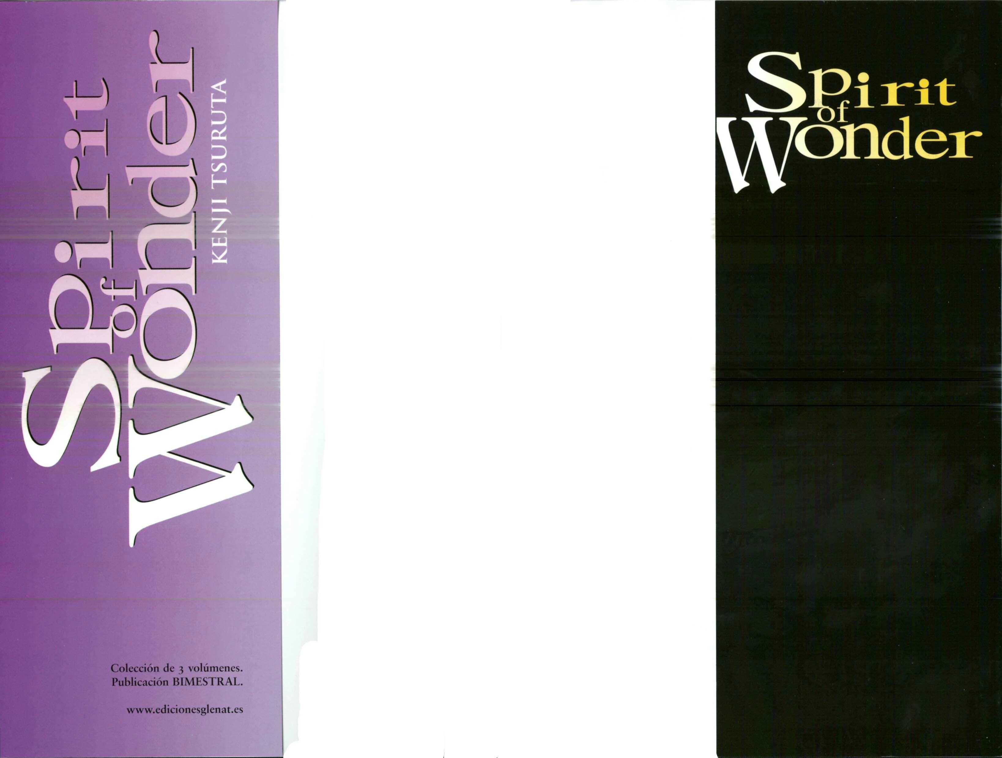 Spirit of Wonder Capítulo 5 - Page 2