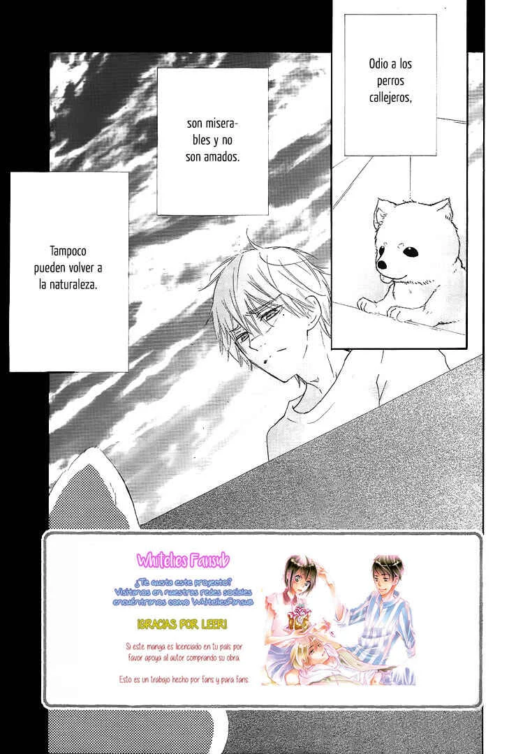 Suteinu ni Honey Toast Capítulo 3 - Page 4