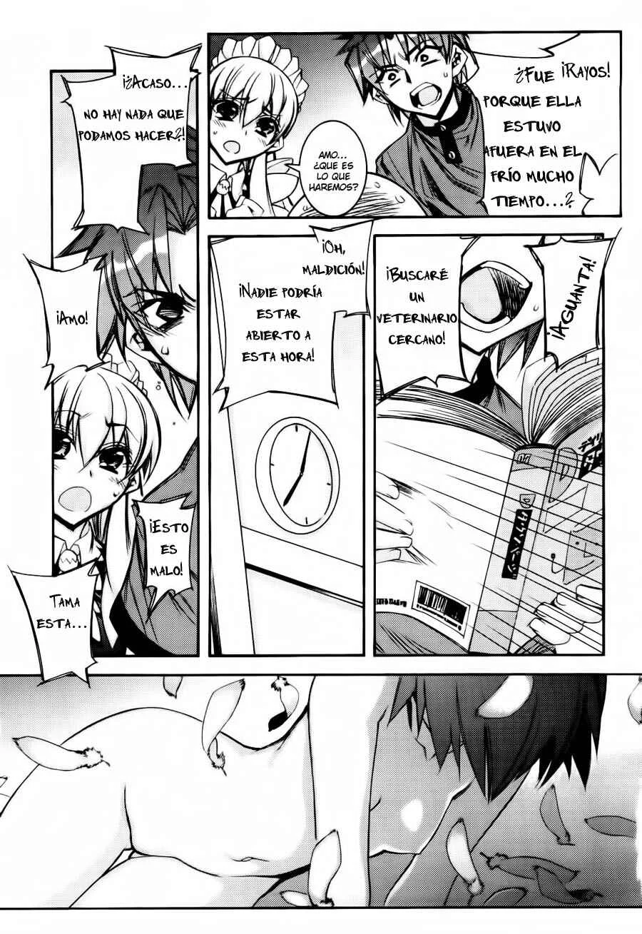 Tama Hiyori Capítulo 2: ¿Serías amiga de Hiyo? - Page 33