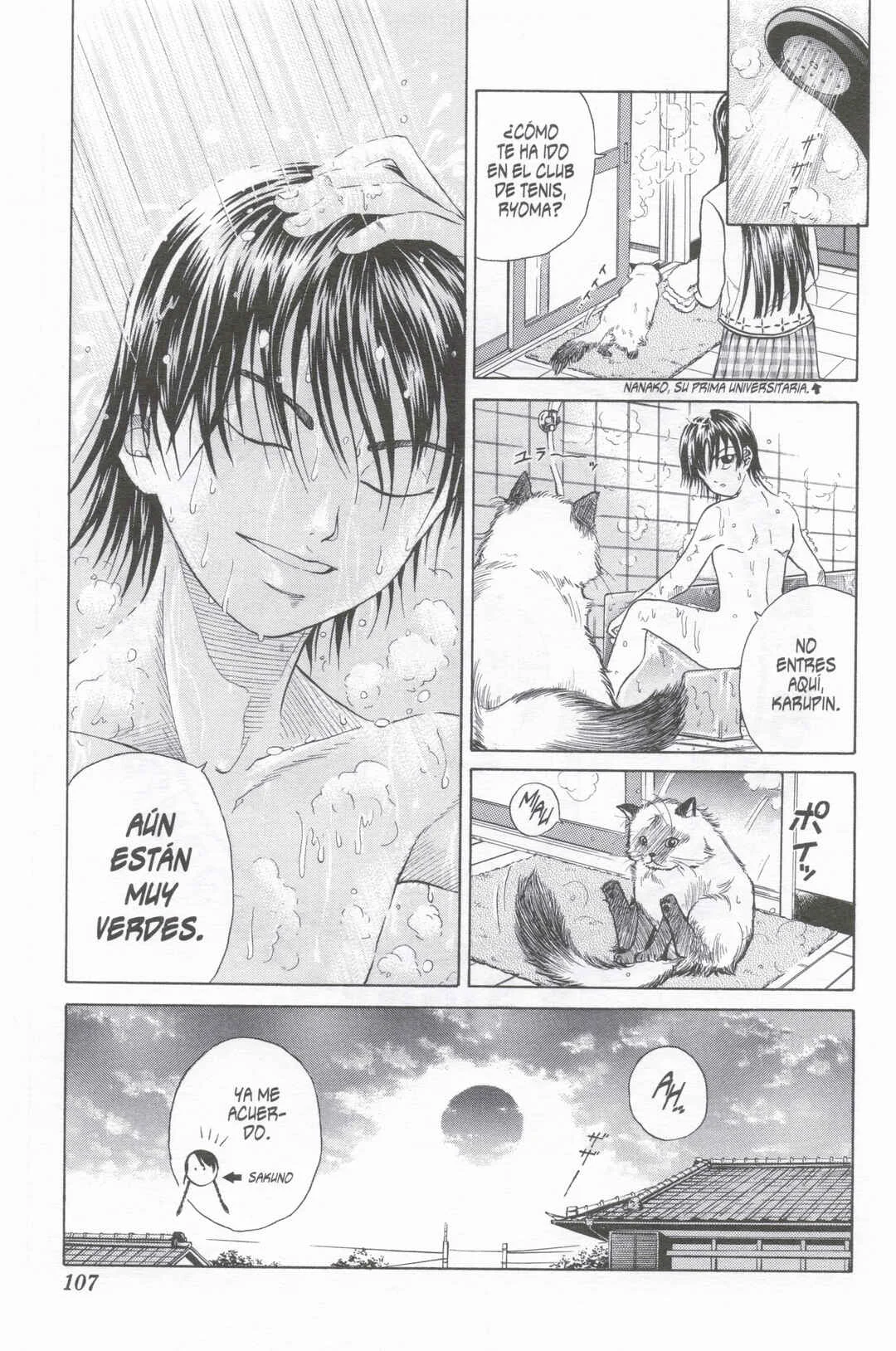 Tennis no Oujisama Capítulo 3: ¡Segundo contra primero! - Page 22