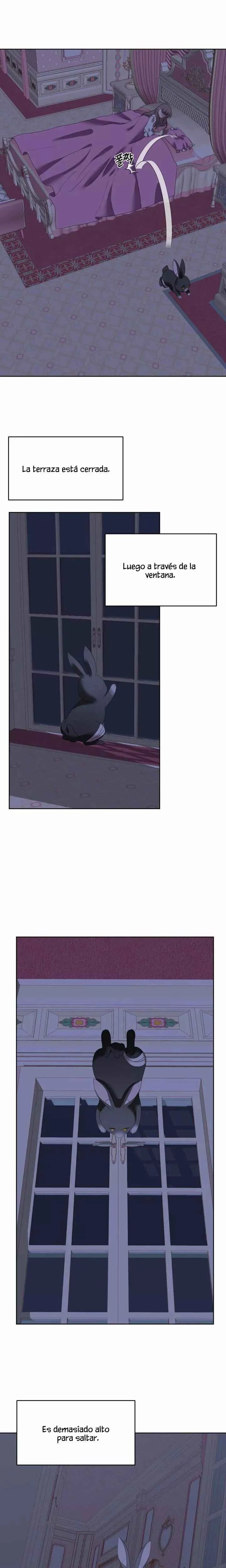 The Fake Lady and Her Rabbit Duke Capítulo 3 - Page 11