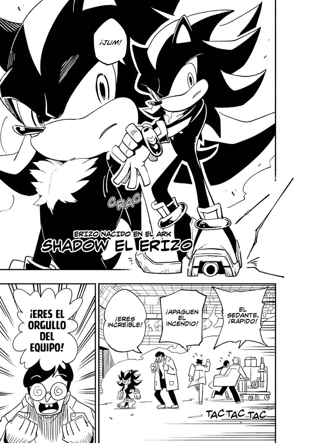 The Jet Black Hedgehog: Shadow the Hedgehog Capítulo 1: Shadow Y María - Page 4