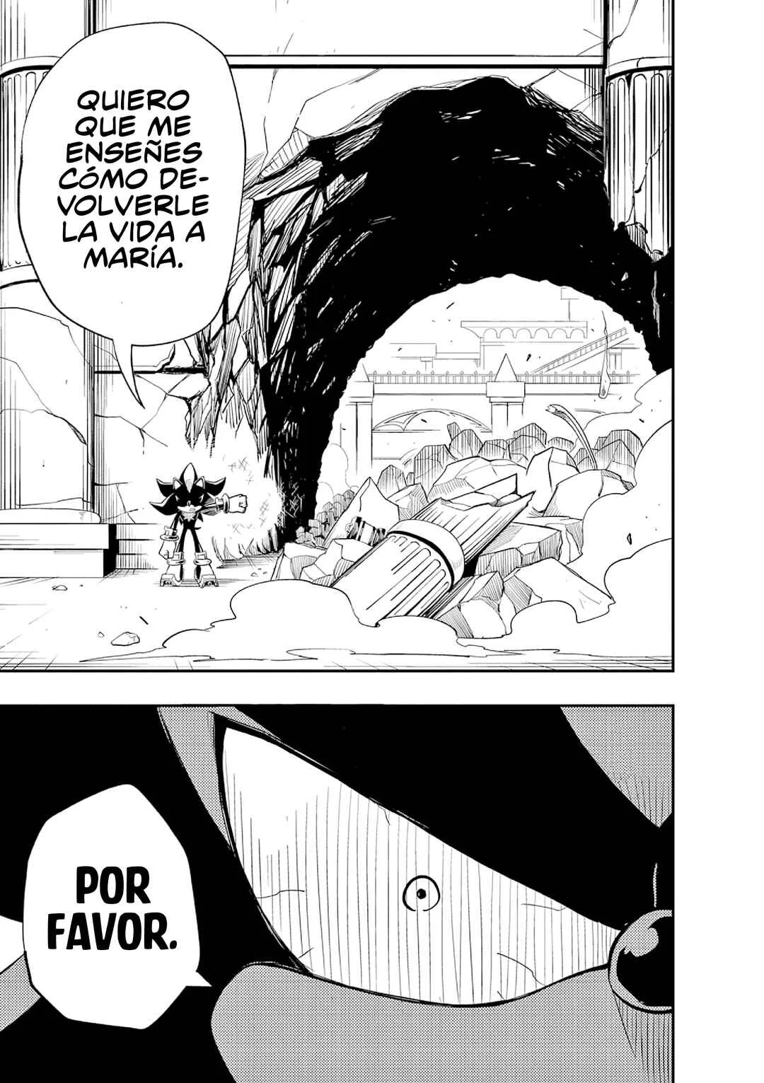 The Jet Black Hedgehog: Shadow the Hedgehog Capítulo 2: Gyoro del Espacio Blanco - Page 25
