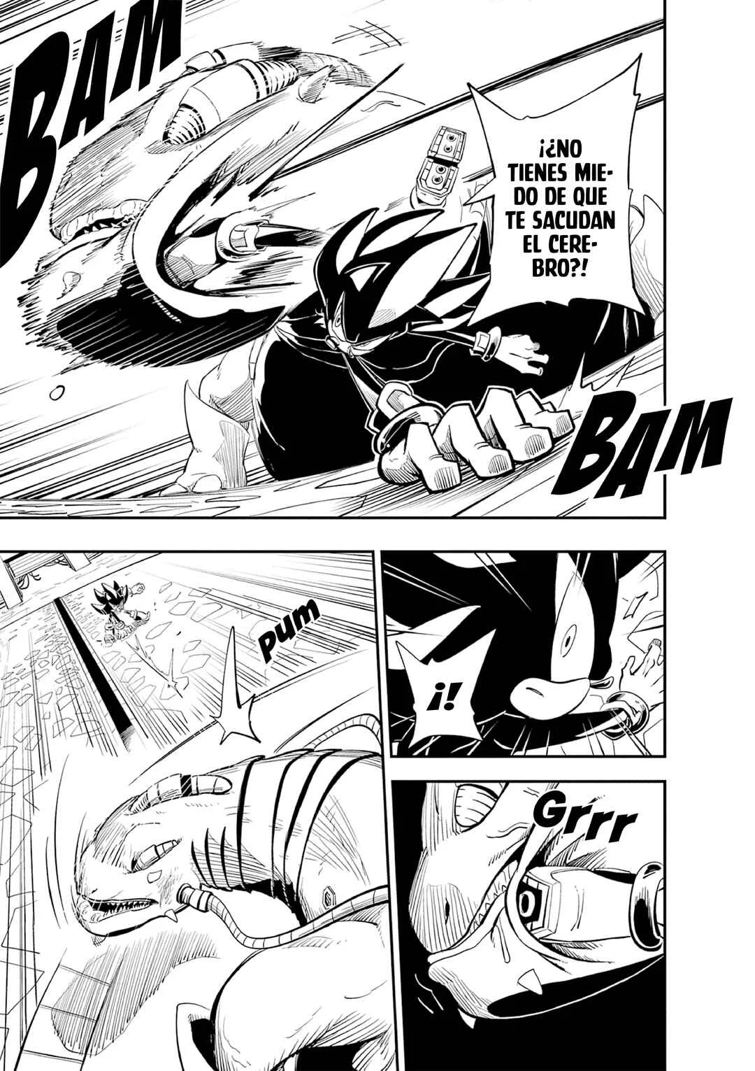 The Jet Black Hedgehog: Shadow the Hedgehog Capítulo 3: Regreso al ARK - Page 10