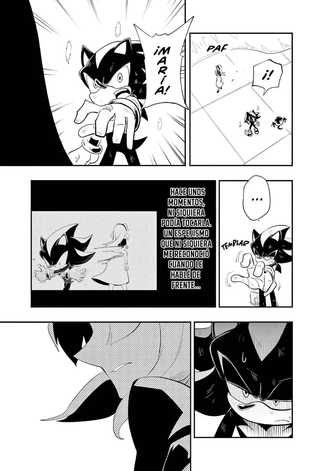The Jet Black Hedgehog: Shadow the Hedgehog Capítulo 3: Regreso al ARK - Page 25