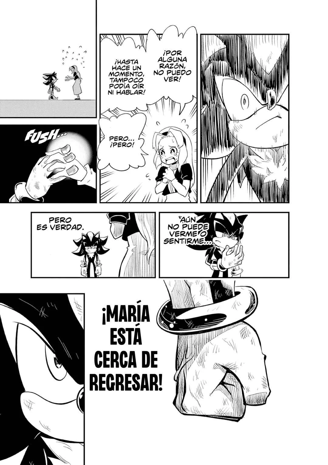 The Jet Black Hedgehog: Shadow the Hedgehog Capítulo 3: Regreso al ARK - Page 27
