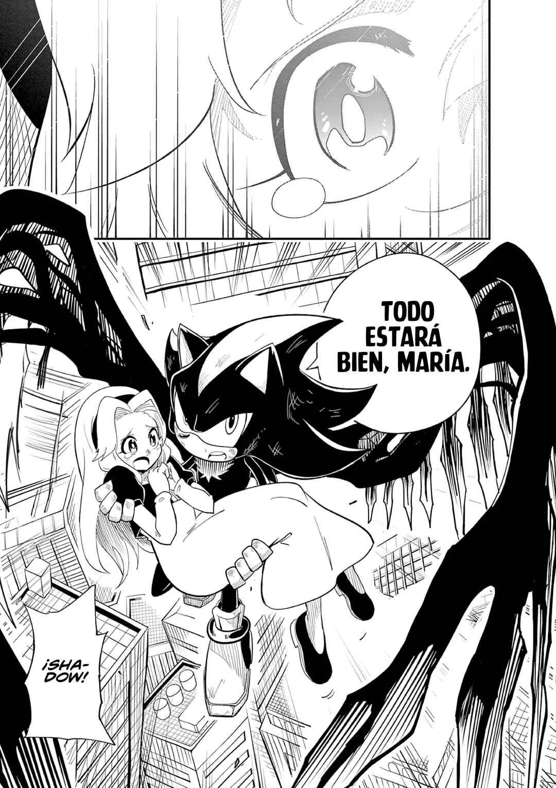 The Jet Black Hedgehog: Shadow the Hedgehog Capítulo 5: El Inquebrantable - Page 26