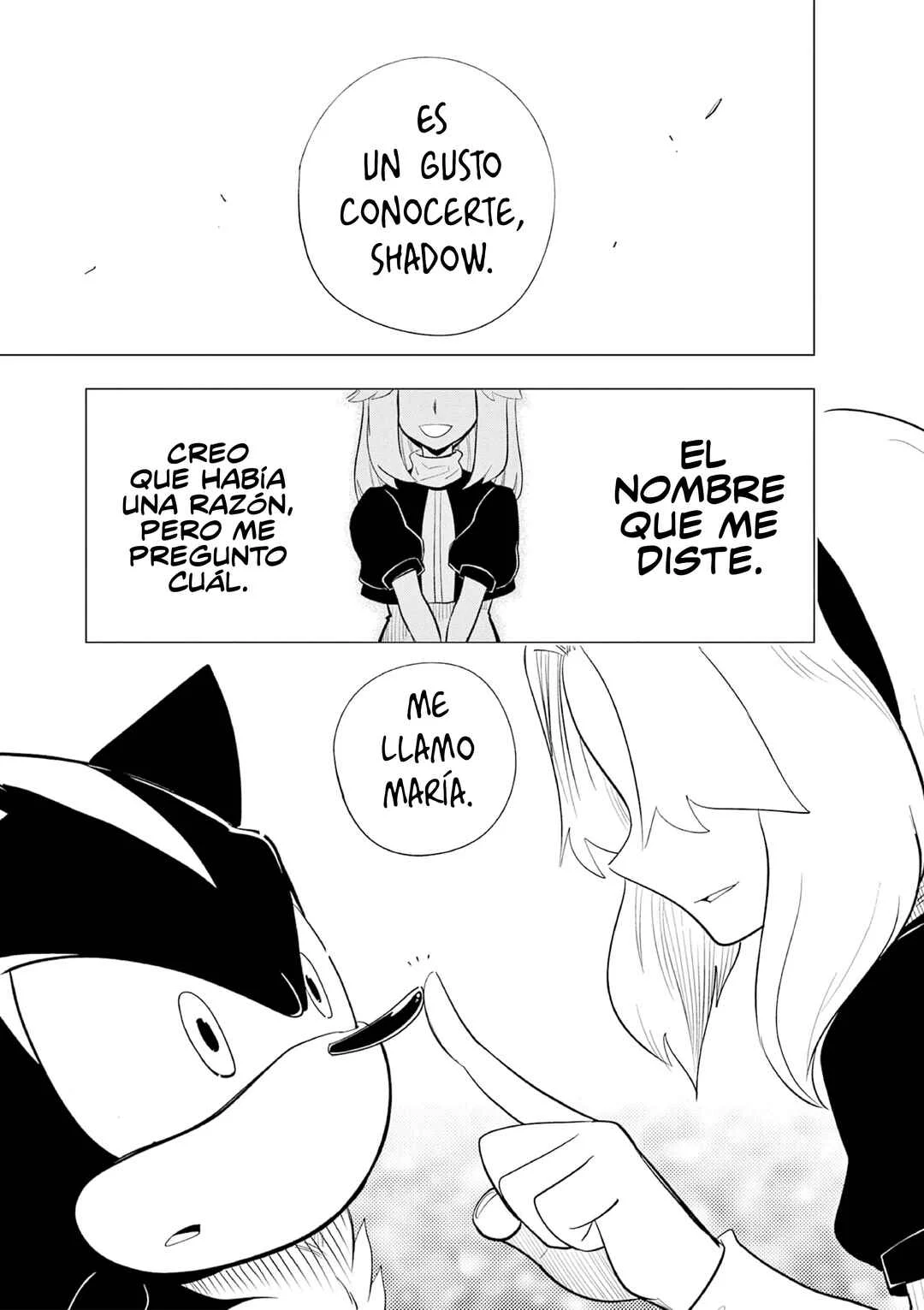 The Jet Black Hedgehog: Shadow the Hedgehog Capítulo 6: La Forma de Vida Definitiva, Shadow el Erizo - Page 1