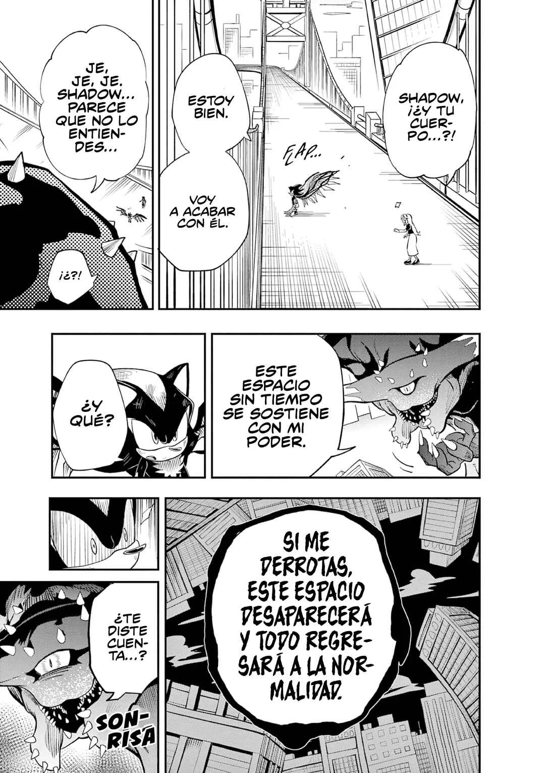 The Jet Black Hedgehog: Shadow the Hedgehog Capítulo 6: La Forma de Vida Definitiva, Shadow el Erizo - Page 6