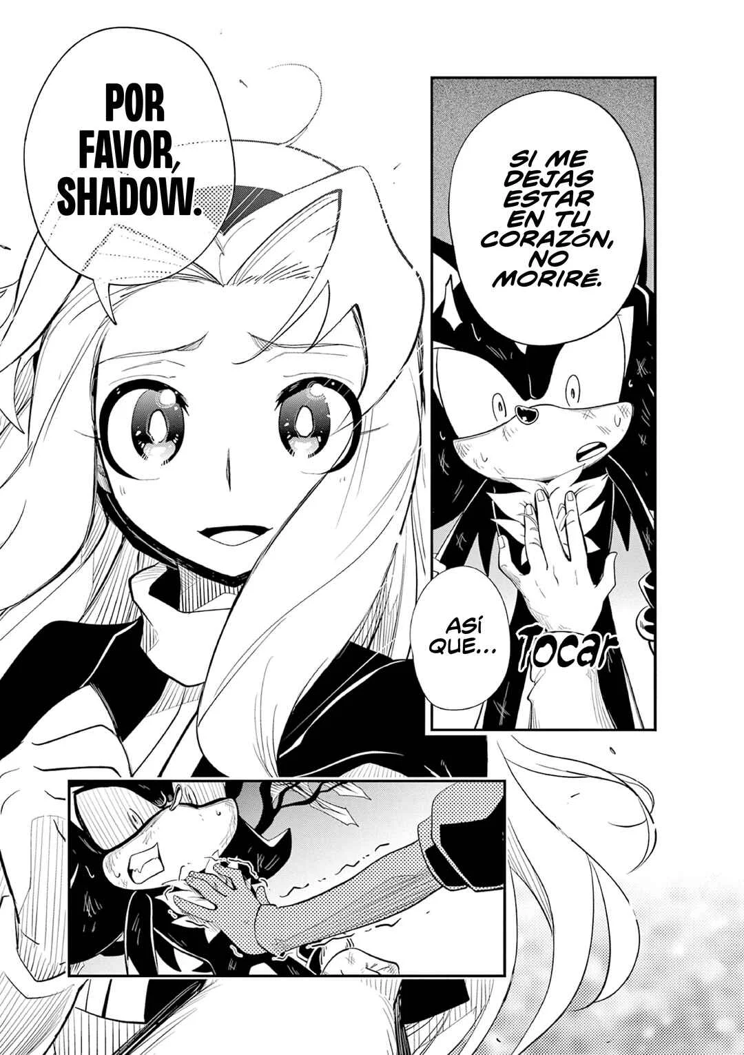 The Jet Black Hedgehog: Shadow the Hedgehog Capítulo 6: La Forma de Vida Definitiva, Shadow el Erizo - Page 12