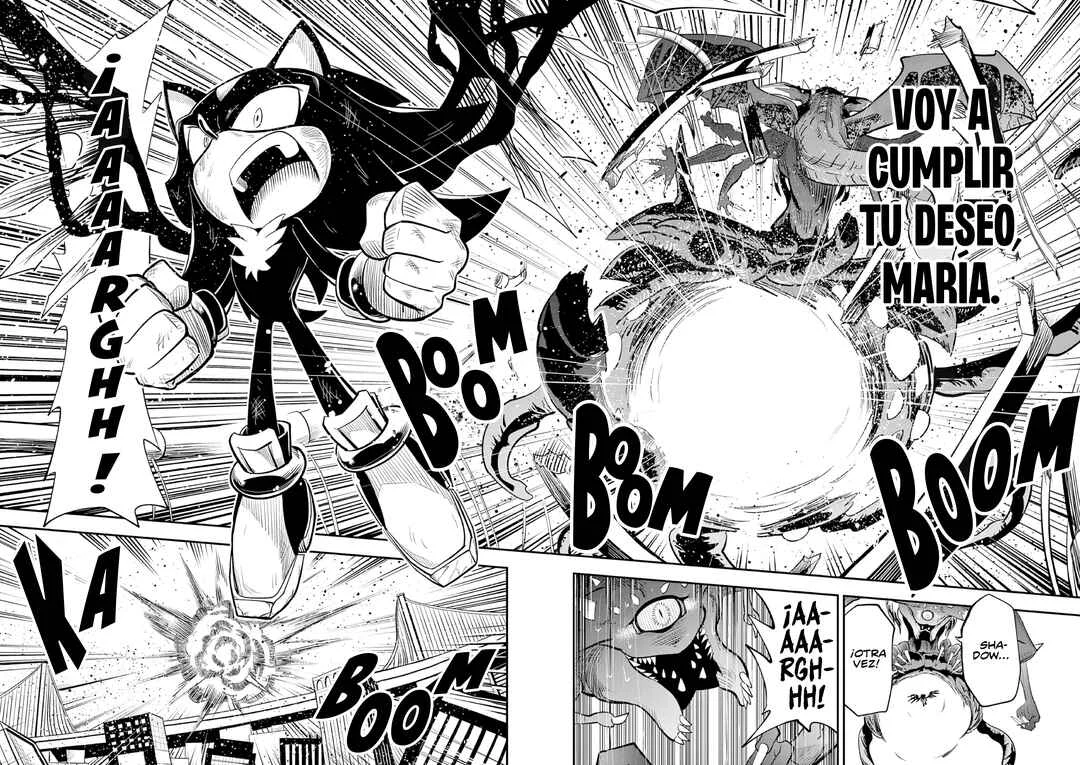 The Jet Black Hedgehog: Shadow the Hedgehog Capítulo 6: La Forma de Vida Definitiva, Shadow el Erizo - Page 23