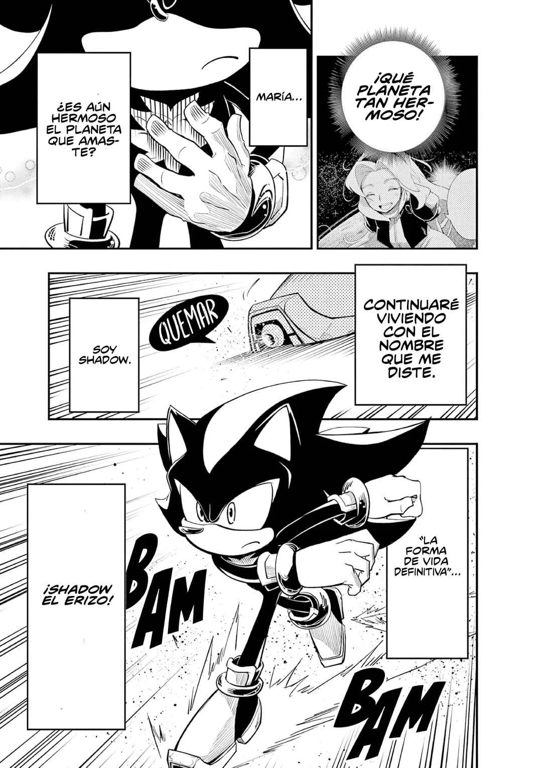 The Jet Black Hedgehog: Shadow the Hedgehog Capítulo 6: La Forma de Vida Definitiva, Shadow el Erizo - Page 27