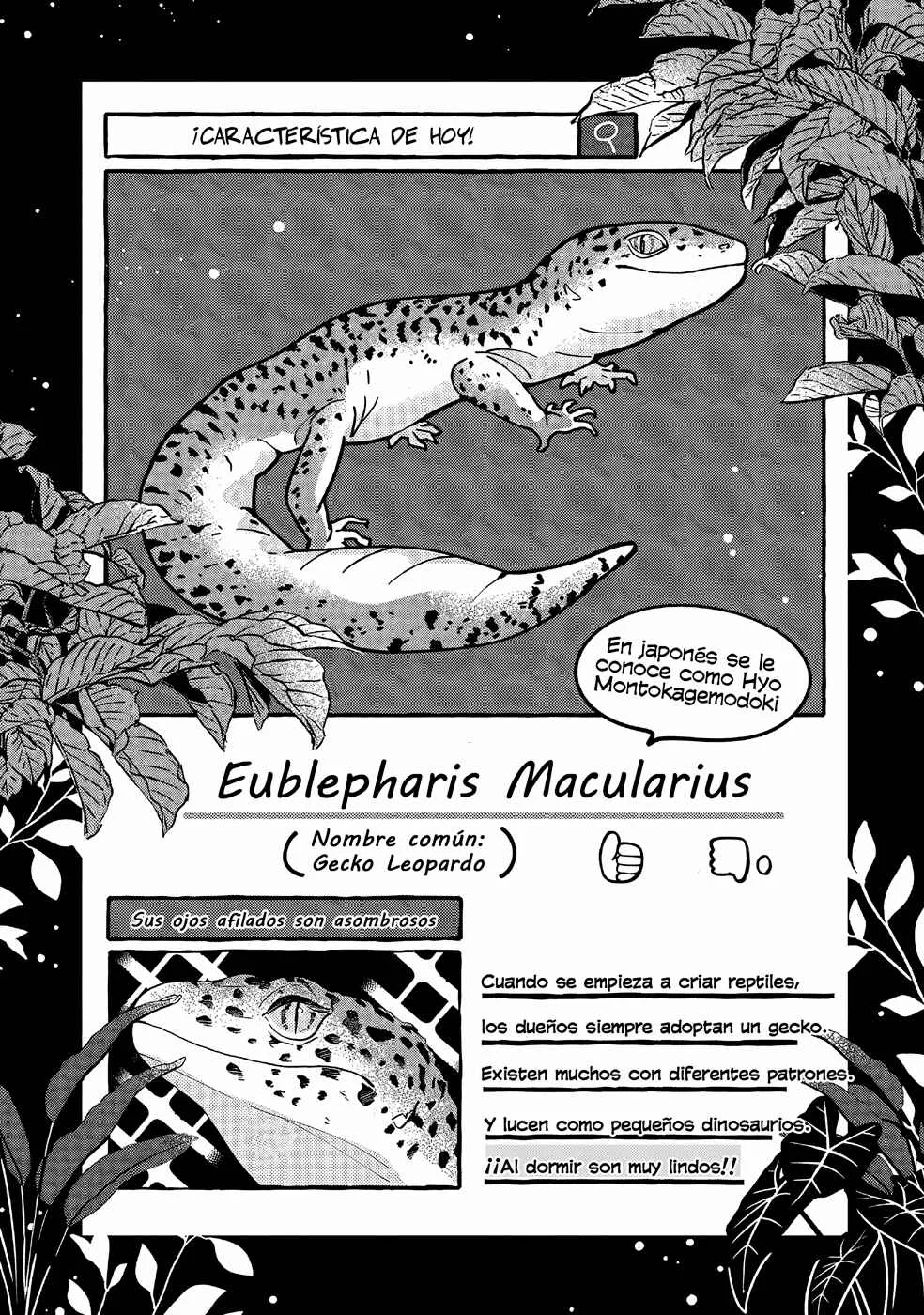 Tonari no Hachuurui-kun Capítulo 2 - Page 24