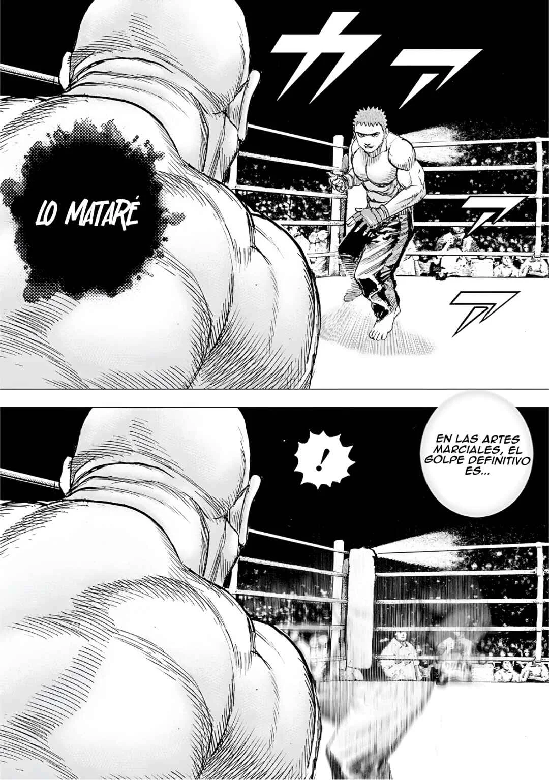 TOUGH Dai Ni Shō Capítulo 1: El escenario de las MMA. - Page 14