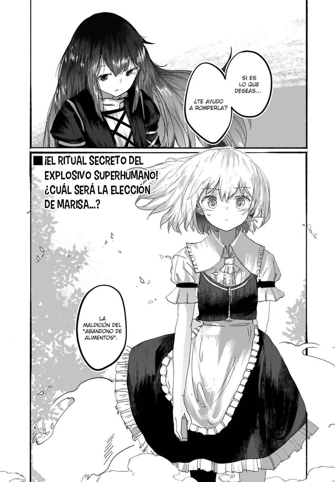 Touhou - The Magician Who Loved a Fake (Doujinshi) Capítulo 3: Una marca - Page 35