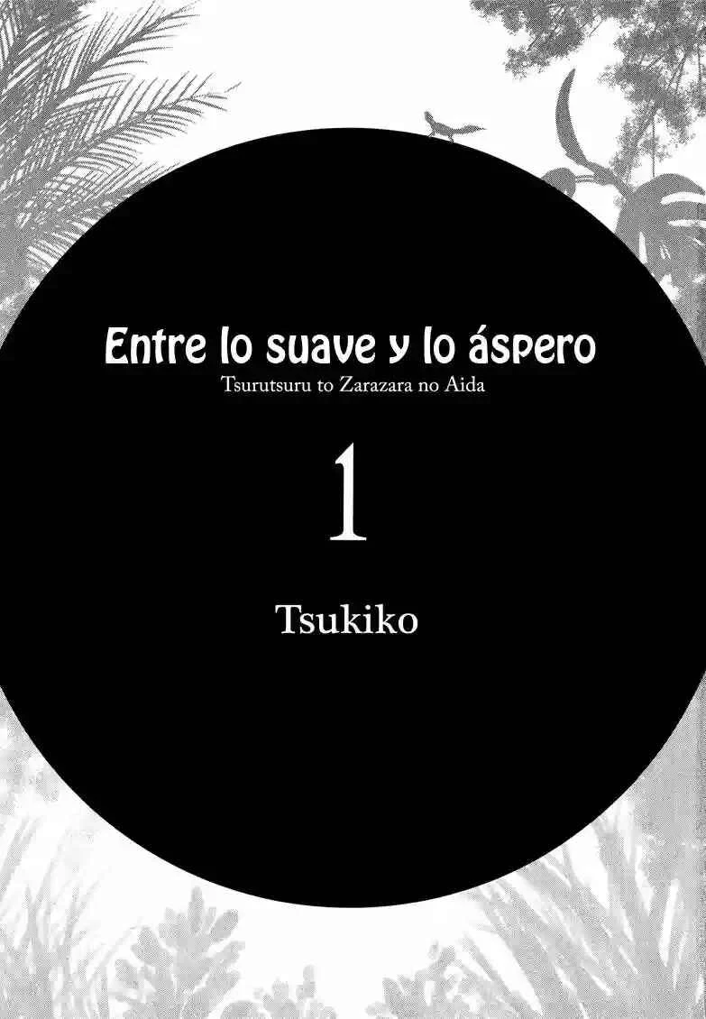 Tsuru Tsuru to Zara Zara no Aida Capítulo 1 - Page 4