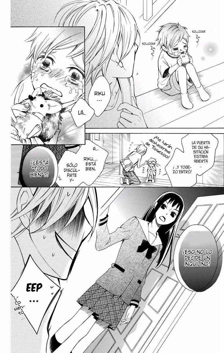 Urakata!! Capítulo 1 - Page 33