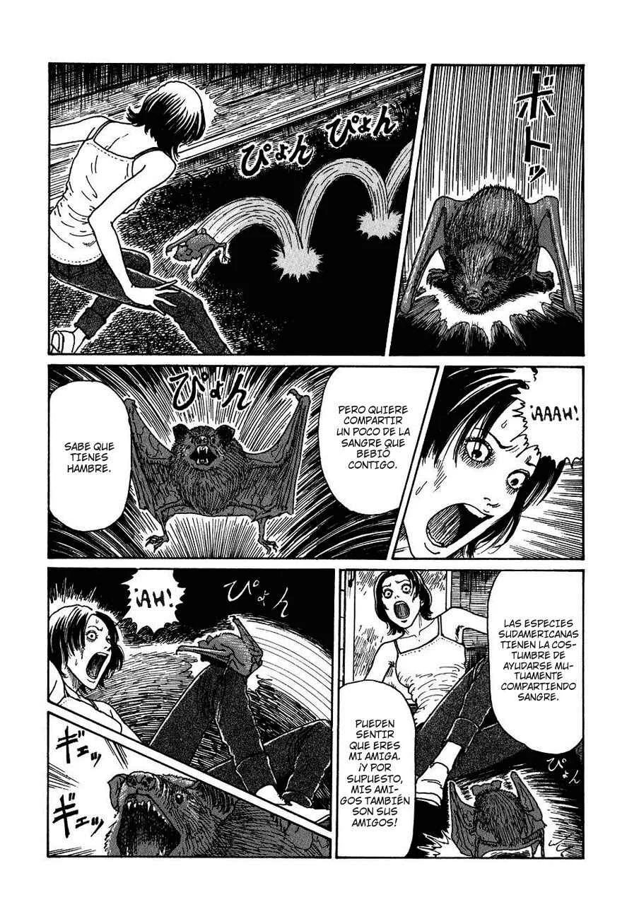 Voices in the Dark Capítulo 1: La oscuridad chupasangre - Page 25