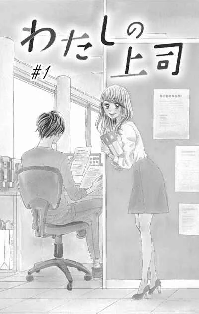 Watashi no Joushi Capítulo 1 - Page 9