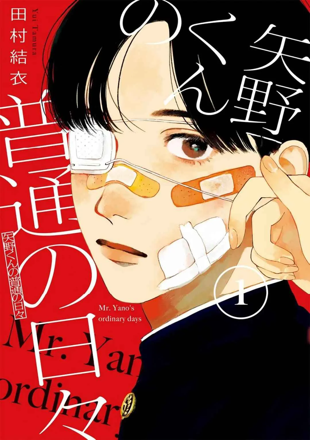 Yano-kun no Futsuu no Hibi Capítulo 1: Yano - kun  - Page 2
