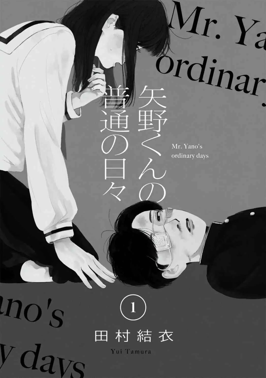 Yano-kun no Futsuu no Hibi Capítulo 1: Yano - kun  - Page 4