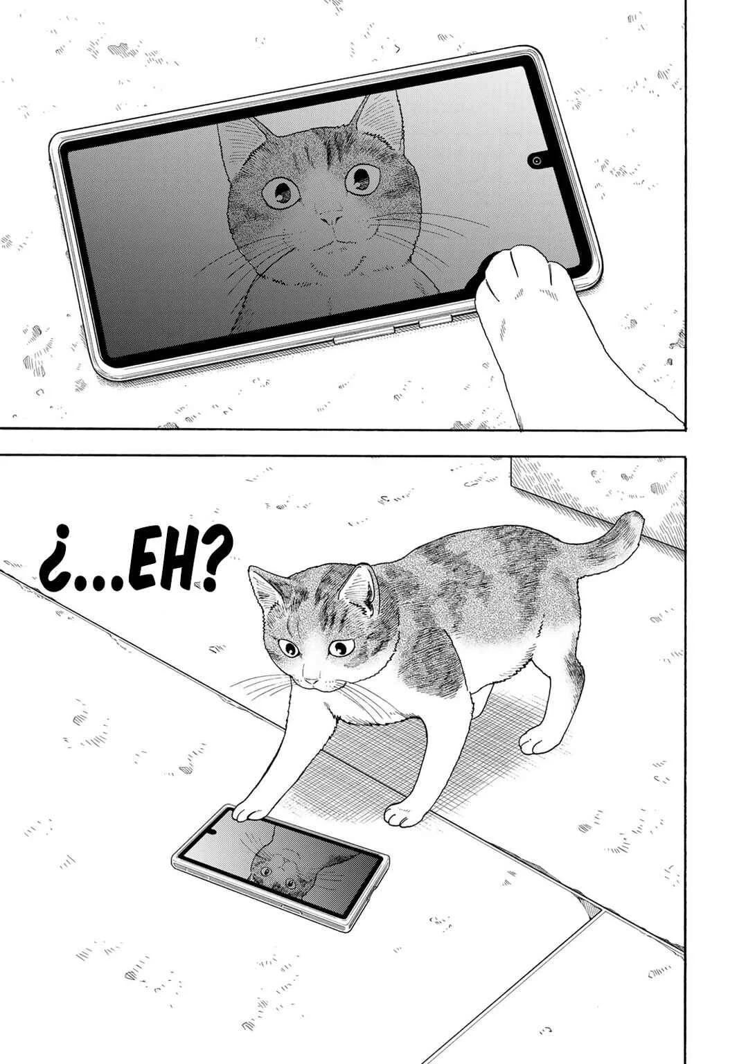 Yuzuki wa Neko ni Naru Capítulo 1: Me convierto en gato cuando estoy preocupada - Page 11