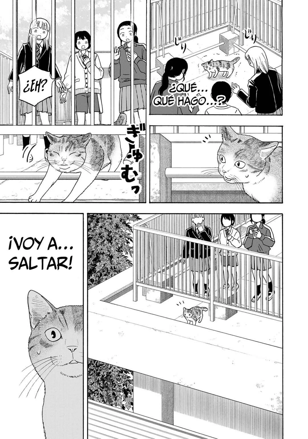 Yuzuki wa Neko ni Naru Capítulo 1: Me convierto en gato cuando estoy preocupada - Page 15