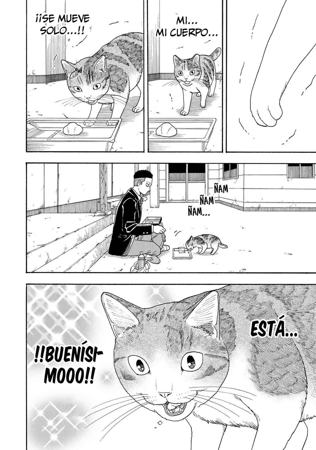 Yuzuki wa Neko ni Naru Capítulo 1: Me convierto en gato cuando estoy preocupada - Page 22