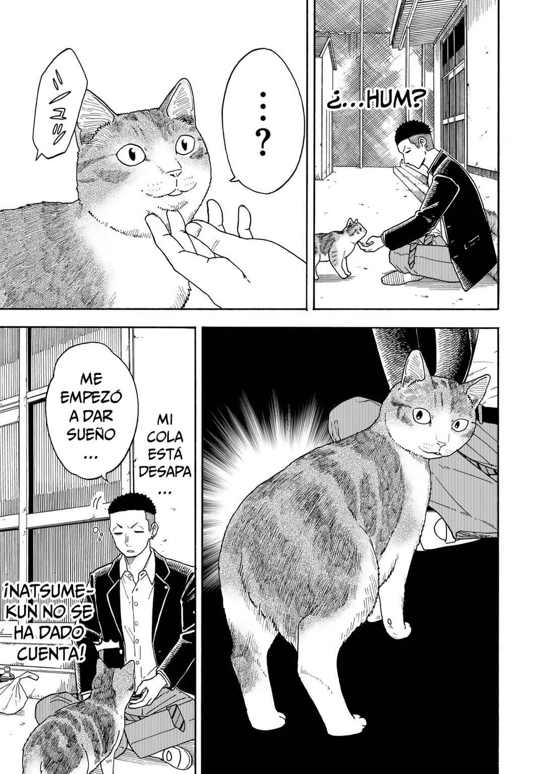 Yuzuki wa Neko ni Naru Capítulo 1: Me convierto en gato cuando estoy preocupada - Page 37