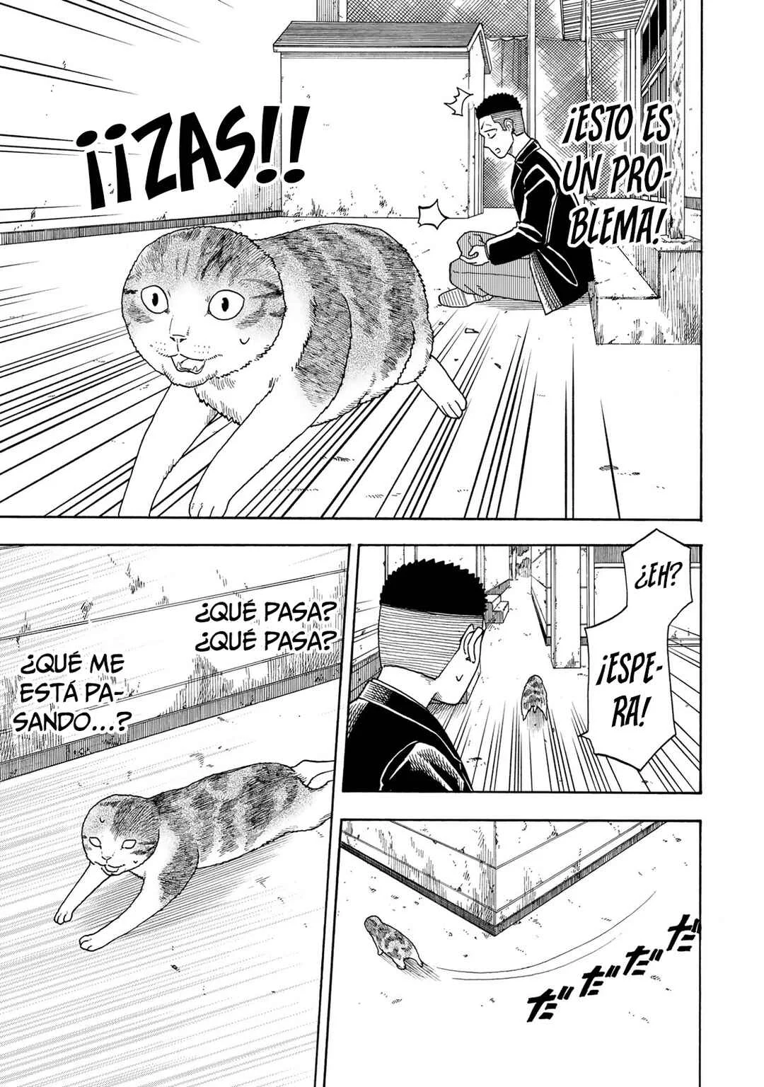 Yuzuki wa Neko ni Naru Capítulo 1: Me convierto en gato cuando estoy preocupada - Page 39
