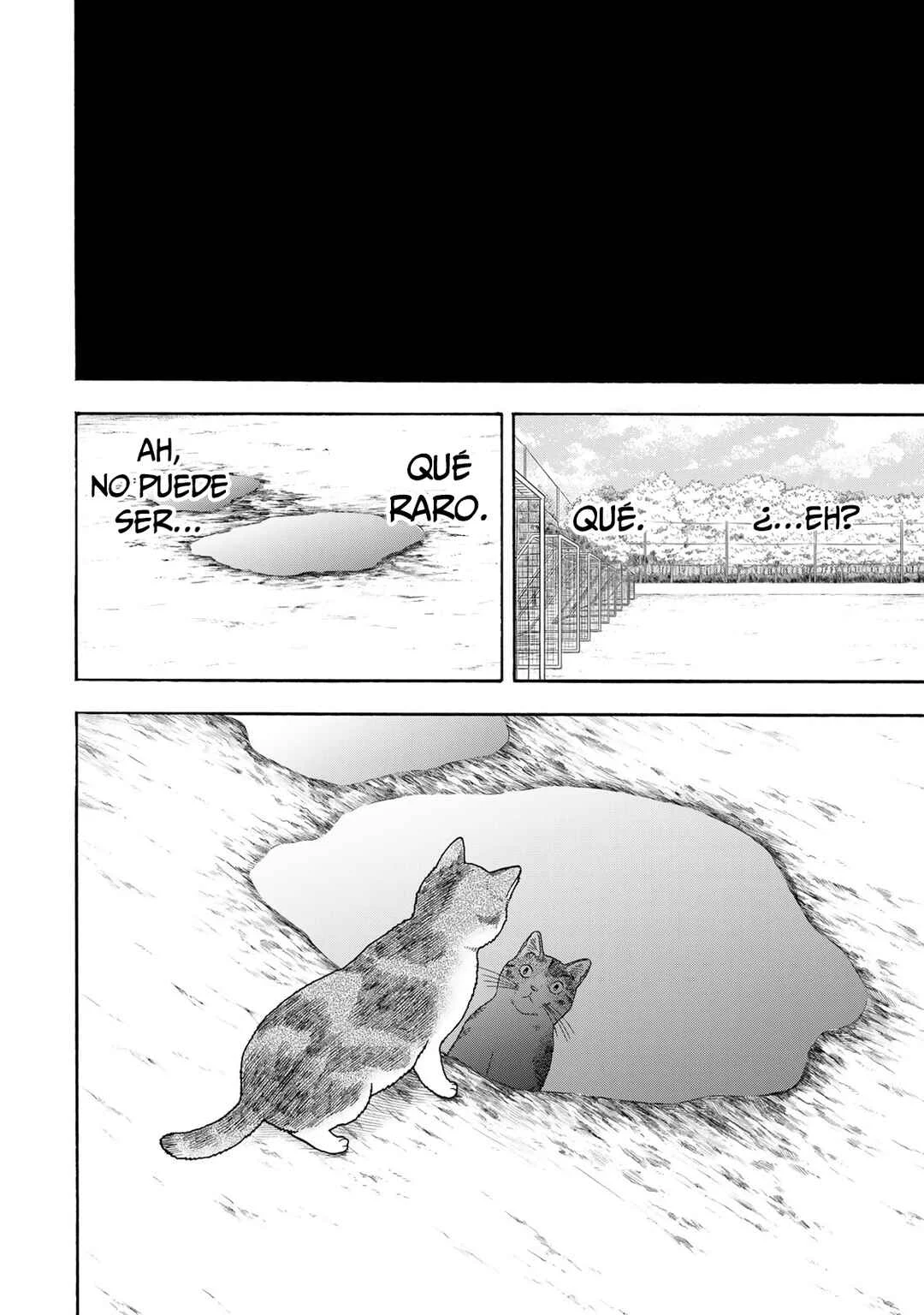 Yuzuki wa Neko ni Naru Capítulo 2: La torpe y la de mirada intimidante - Page 9