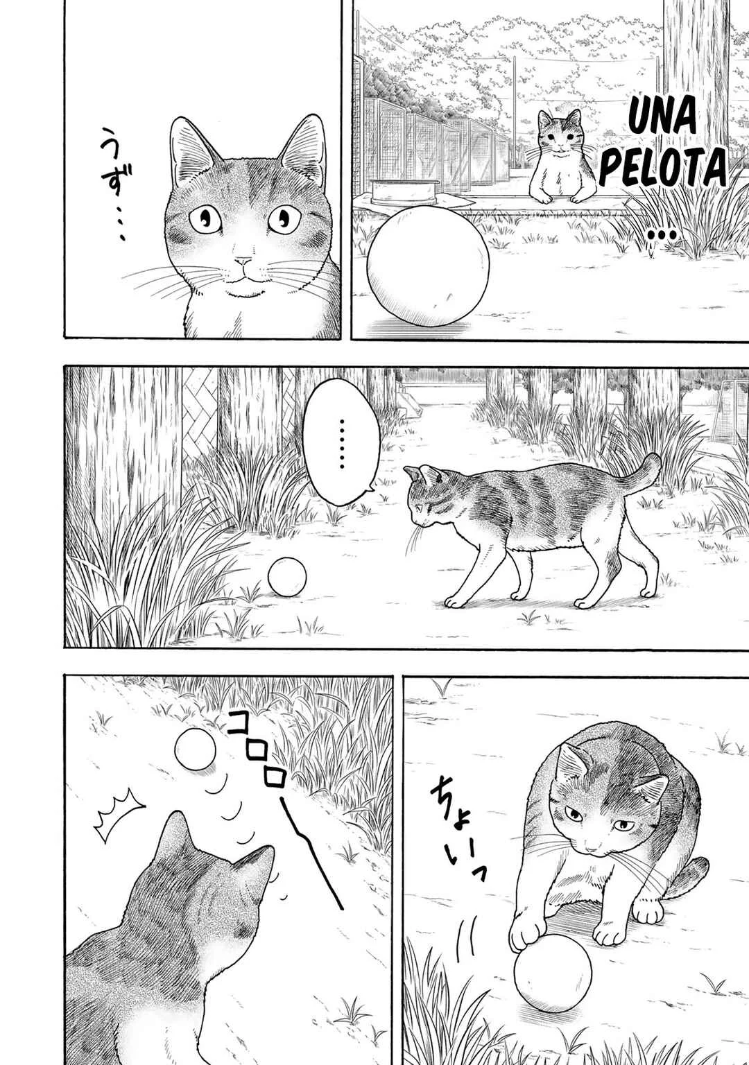 Yuzuki wa Neko ni Naru Capítulo 2: La torpe y la de mirada intimidante - Page 11