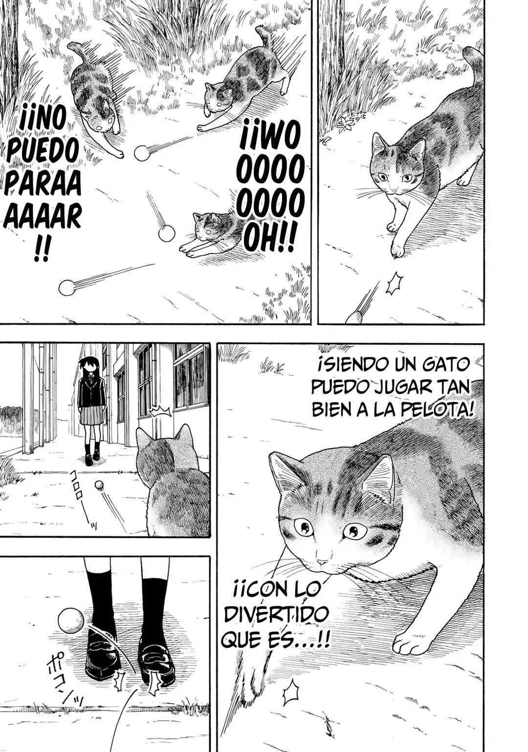 Yuzuki wa Neko ni Naru Capítulo 2: La torpe y la de mirada intimidante - Page 12