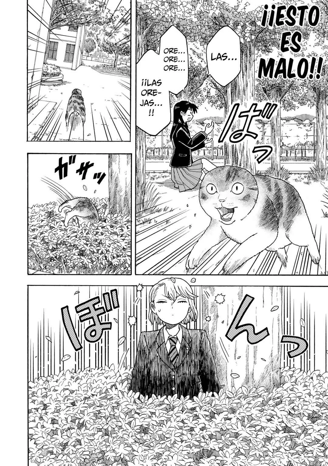 Yuzuki wa Neko ni Naru Capítulo 2: La torpe y la de mirada intimidante - Page 31